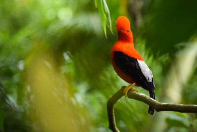 JOUR 1 – ARRIVÉE À QUITO