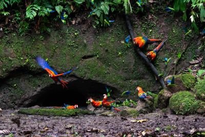 JOUR 6 – SALINE ET TOUR D’OBSERVATION