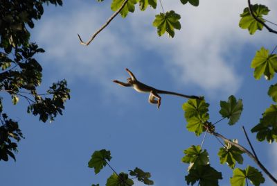 JOUR 14 – DÉPART POUR LA VILLE DE COCA
