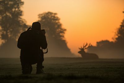 Photographier les animaux sauvages : réussir ses images sans déranger le vivant