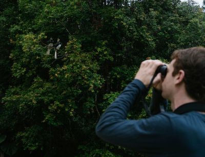 Débuter l'ornithologie en voyage
