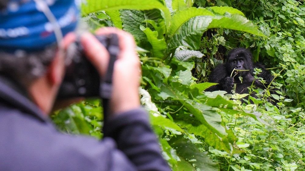 OUganda - &copy; S.Lefebvre