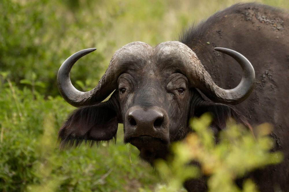 Prolongez ou personnalisez votre voyage en Afrique - &copy; A.Boithias