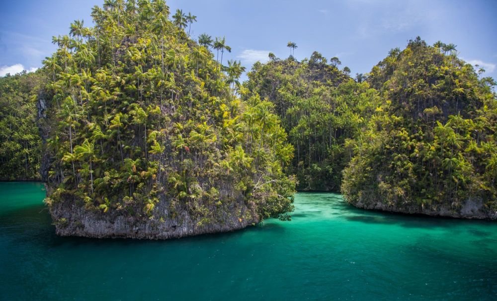 Envie d'autres aventures en Papouasie Occidentale ?