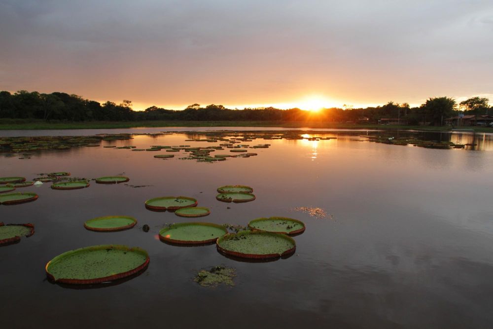 Vous rêvez d'une aventure nature sur-mesure au Brésil ? - &copy; laurent cocherel