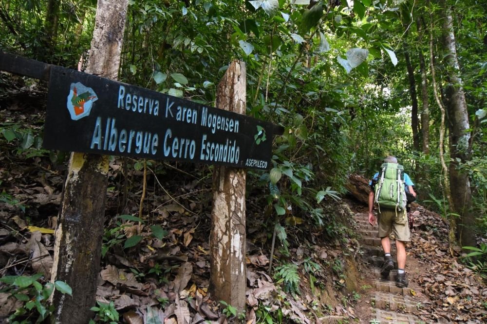 Prolongez ou personnalisez votre voyage nature en Amérique