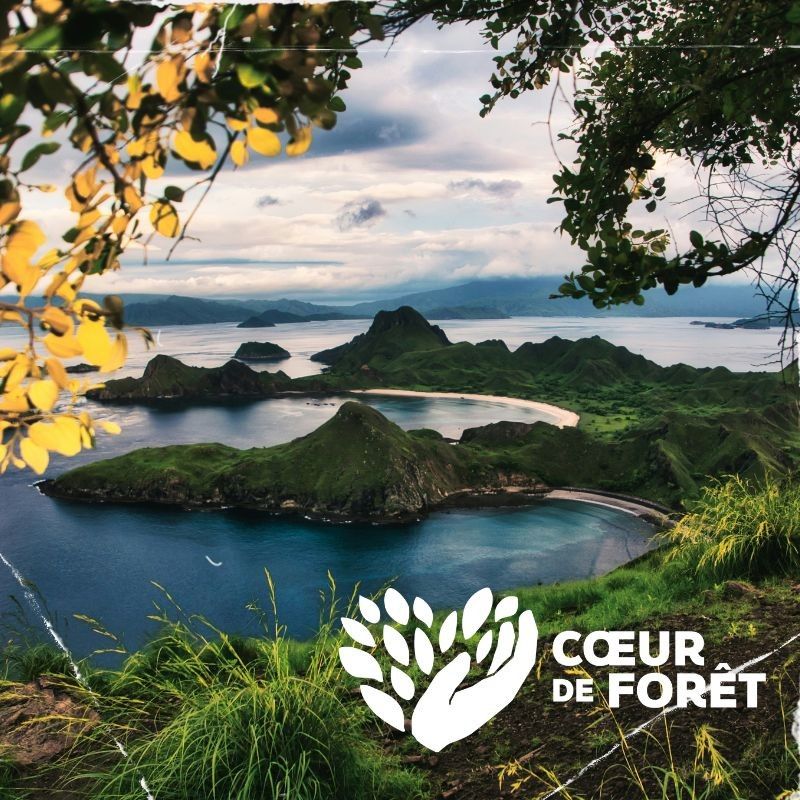 vue sur les iles de komodo en indonésie - &copy; Coeur de forêt