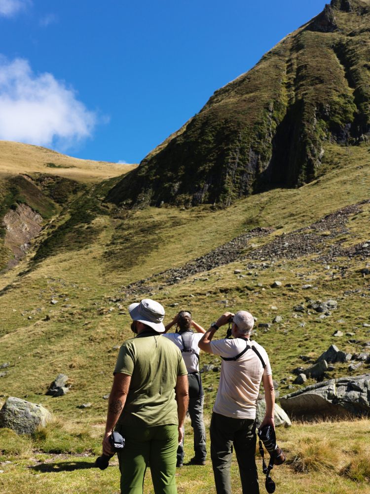 &copy; Séjour EscursiaOIseaux@ThierryRAJIC_PNRPA (56)