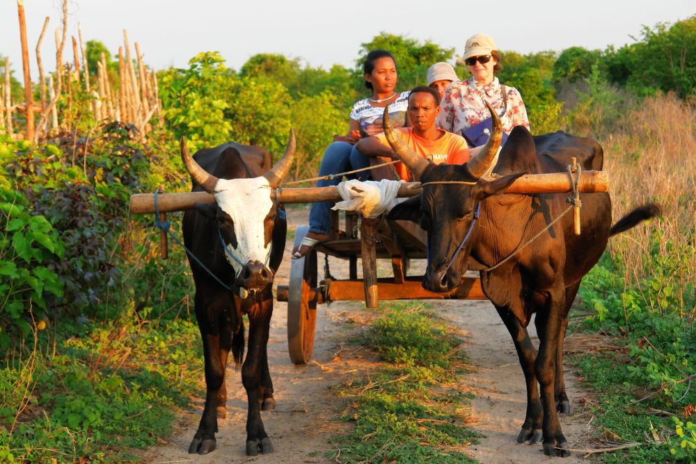 &copy; voyage-nature-promenade-madagascar-eric-gateau