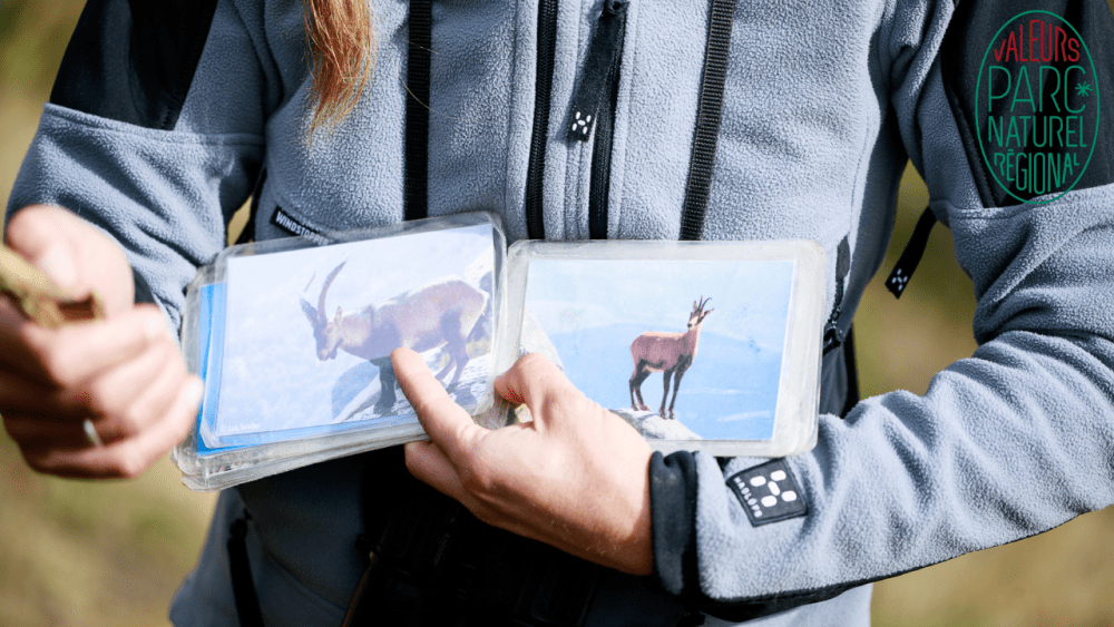 &copy; Couserando@PNRPA_Kann (32)