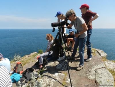 Nos guides - &copy; SéjourOiseauxMarins2-3juin2018GillesBentz6 copie