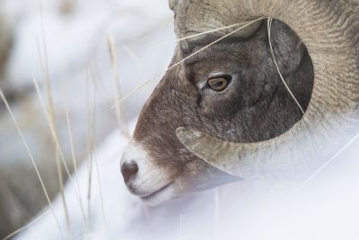 Nos séjours naturalistes