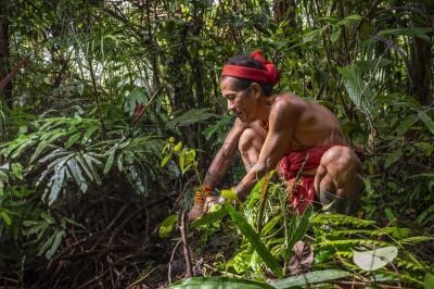 Exploration et Rencontres en Indonésie - Trek et immersion chez les Hommes-fleurs de Mentawai