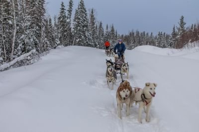 Raid en traîneau à chiens au Québec - L'aventure polaire hors-piste