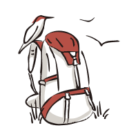 agence de voyage indépendante - &copy; Terres Oubliées