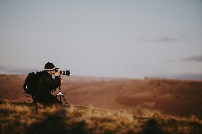 Photo animalière - &copy; annie-spratt-hrqMHFKC6g8-unsplash