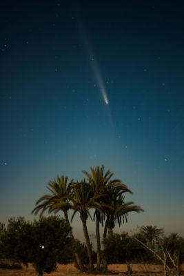La tête dans les étoiles