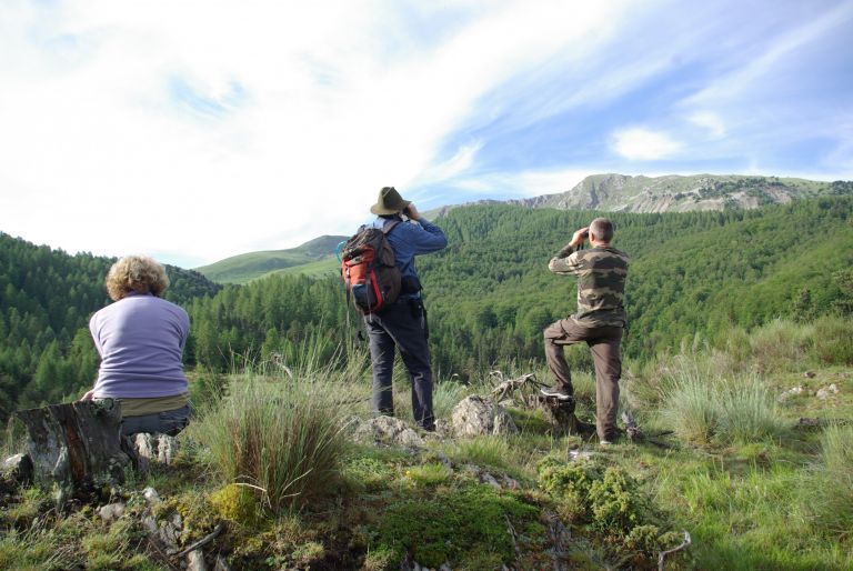 France - Sur les traces des loups