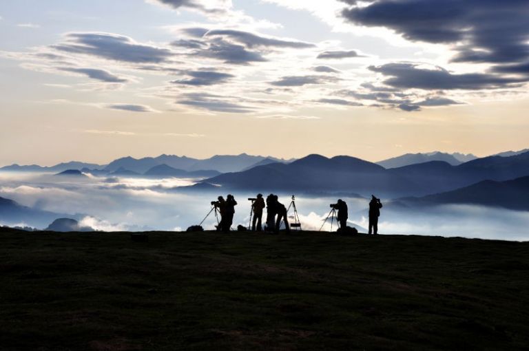 France - Migration et endémisme en foret d’Iraty