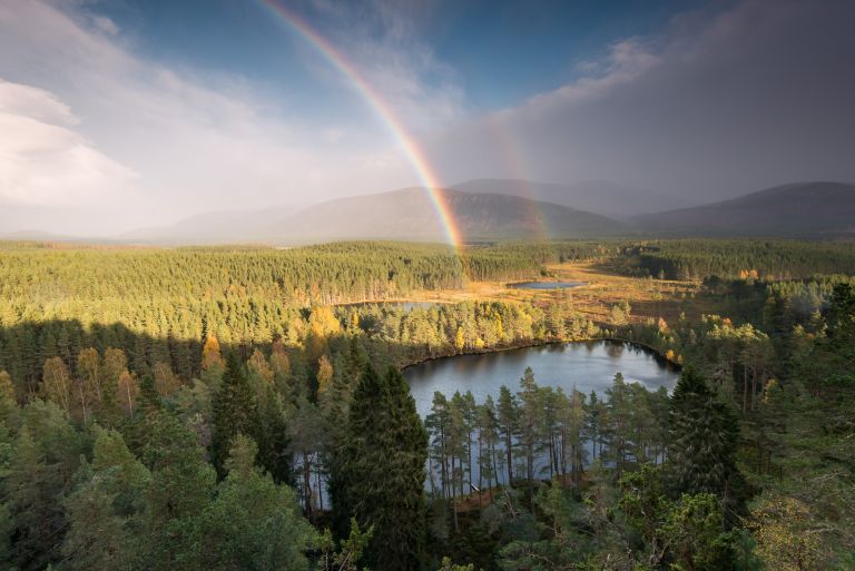 Écosse - Écosse sauvage au cœur des Cairngorms 
