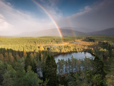Écosse - Écosse sauvage au cœur des Cairngorms Écosse - Écosse sauvage au cœur des Cairngorms