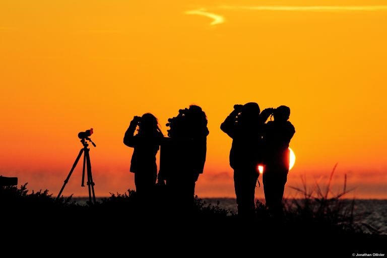 France - Sur la route des migrateurs