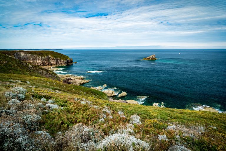 France - Oiseaux marins et landes de Bretagne