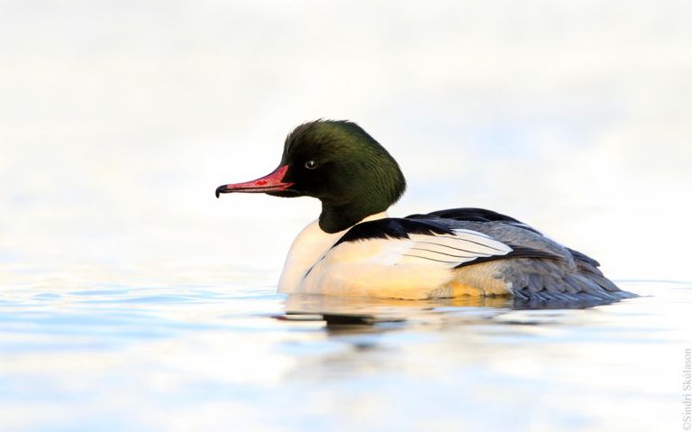 France - Les grands lacs alpins au cœur de l'hiver