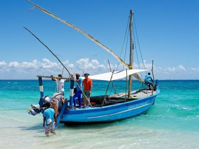 Mozambique - Afrique du sud - Mozambique : safari et Océan Indien