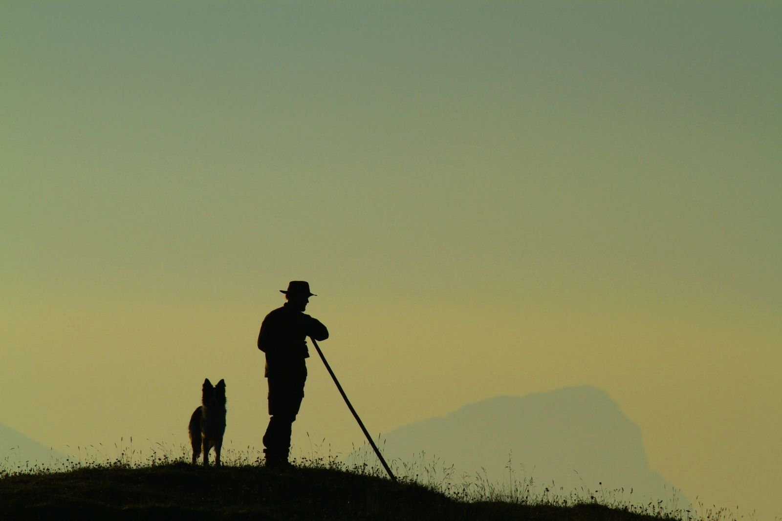 © Terres Oubliées - Comprendre la vie d'un berger et de l'alpage Berger dans les Alpes et son chien fidèle