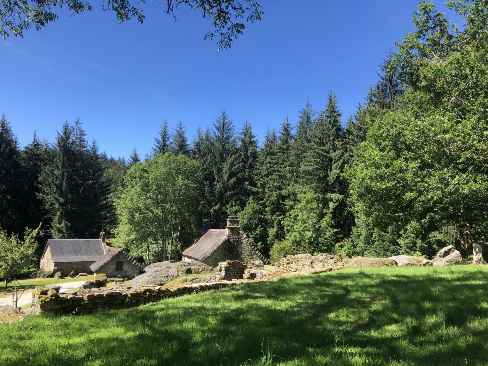 Les richesses du plateau de Millevaches