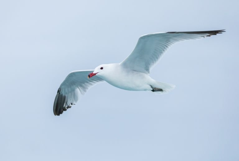 Espagne - La Catalogne à tire d'ailes