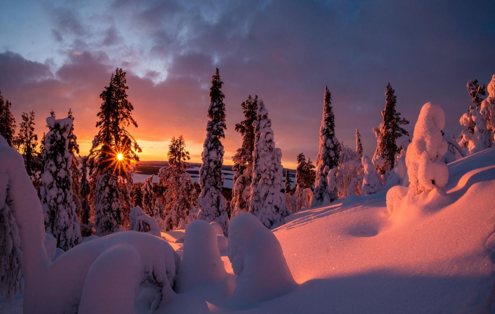 © Nicolas Fragiacomo - Voyage Photo en Laponie : aurores boréales et lumières arctiques Finlande, lever de soleil en Laponie au cœur de l'hiver