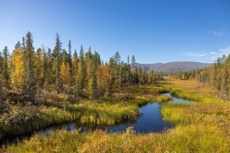 Finlande - Laponie - Eté indien en Laponie : couleurs d'automne et aurores boréales