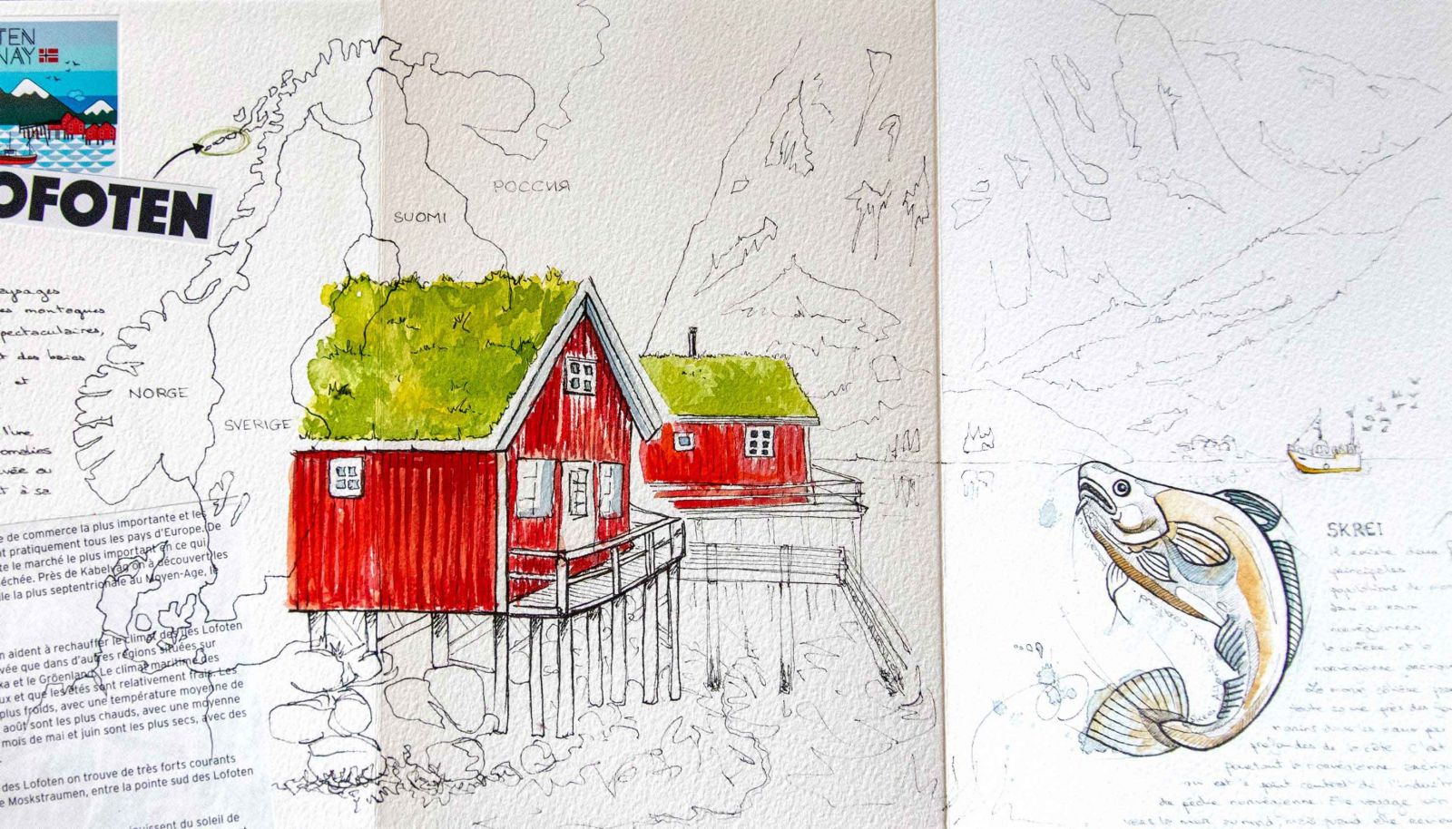 Carnet de voyage, aquarelle et balades sur les îles Lofoten 