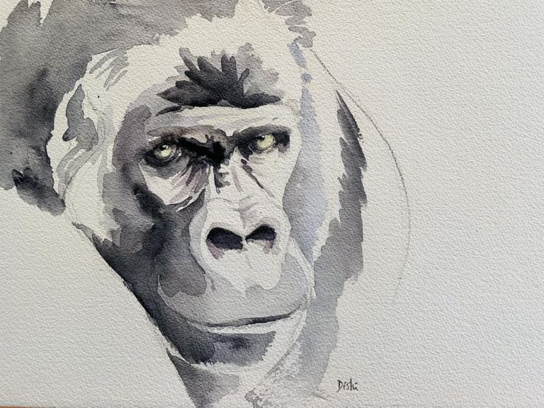 Rwanda - Ouganda - Gorilles : mon carnet de voyage