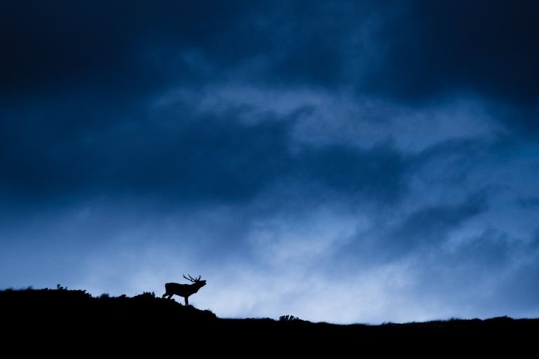 Écosse - L'Ecosse du Nord à travers l'objectif 