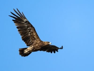 Géorgie - Batoumi, capitale de la migration