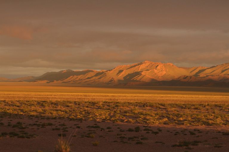 Mongolie - Séjour naturaliste privatif dans les steppes de Mongolie