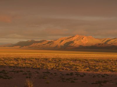 Mongolie - Séjour naturaliste privatif dans les steppes de Mongolie