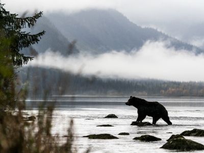 Canada - Alaska - Yukon & Alaska, immersion photographique au cœur du sauvage