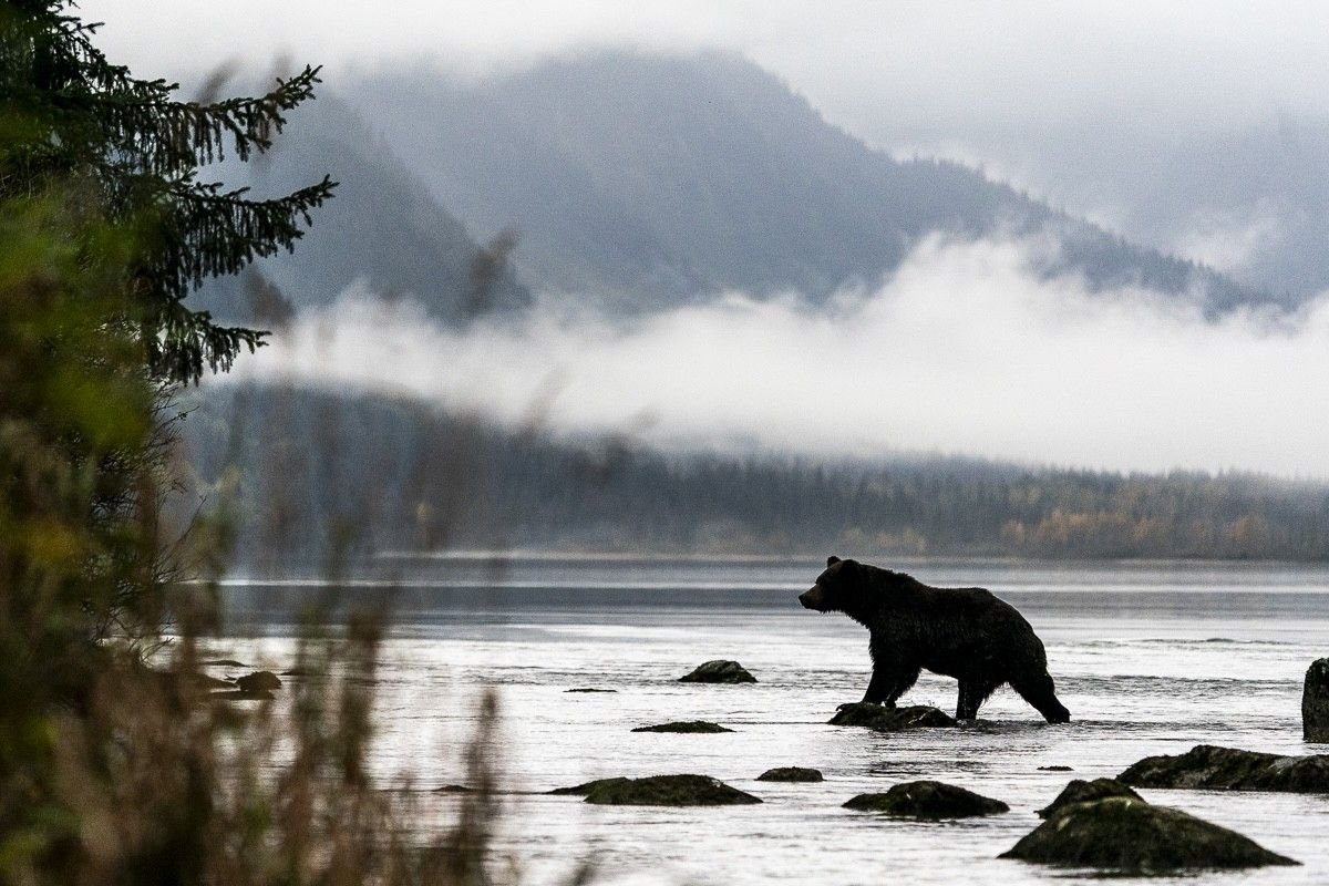 Yukon & Alaska, immersion photographique au cœur du sauvage