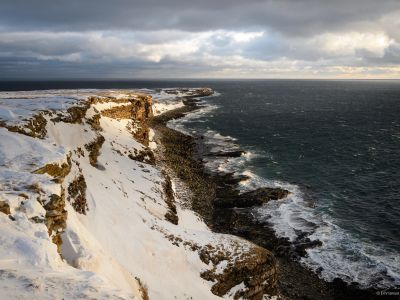 Norvège - Objectif Varanger : Oiseaux et Lumières Arctiques