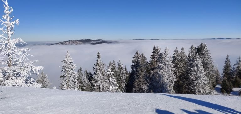 France - Raquettes dans les Alpes du Sud : sur les traces de la faune sauvage