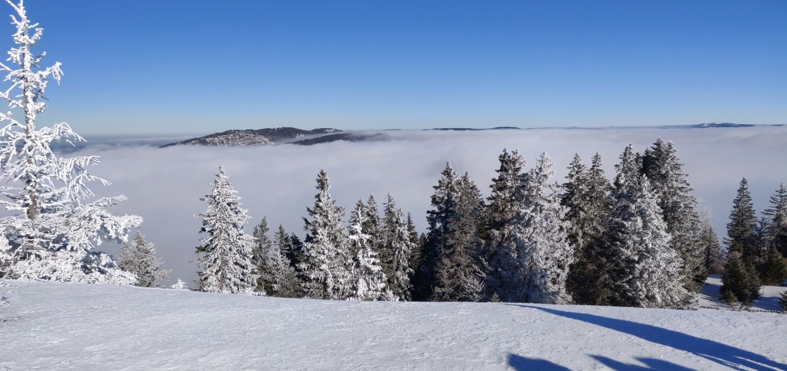 Raquettes dans les Alpes du Sud : sur les traces de la faune sauvage